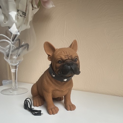 Musik box hund - musik,